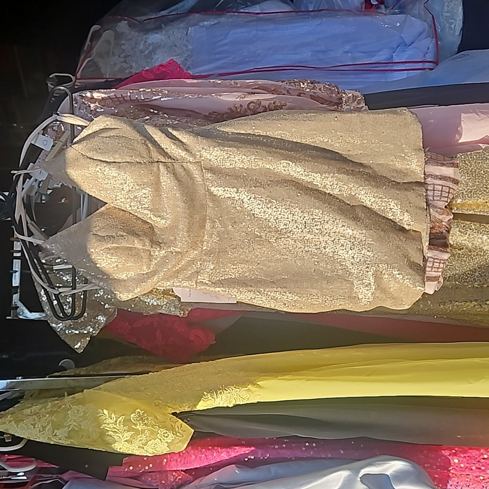 #69 NWT champagne cocktail size 0